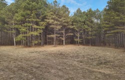 1356 Harrell Road, Maben, MS 39750