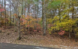 517 Clearwater Circle, Townsend, TN 37882