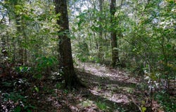 9948 Richardson Rd, Athens, TX 75751