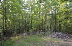 Hickory Falls Road, Blue Ridge, VA 24064