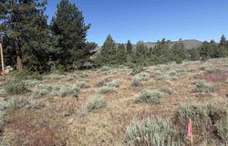 364 Wrangler Drive, Loyalton, CA 96118-5728