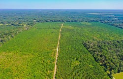 FM 1010, Cleveland, TX 77327