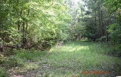 4232 HIGHWAY 134, Collinston, LA 71229