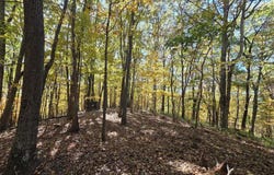 Iris Lane, Peterstown, WV 24963