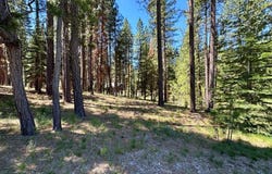 715 Miner's Passage, Clio, CA 96106