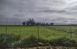 Lovers Lane, Visalia, CA 93292