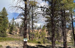 Elk Ridge Estates lot: # 7 Phase 6, Alton, UT 84710