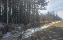4294 Clyde Rd, Eveleth, MN 55734
