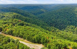 335 Mockingbird Lane, Wilder, TN 38589