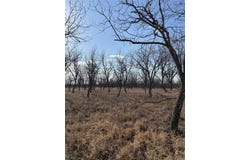 1209 County Road 416, Comanche, TX 76442