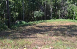 2376 Pea Ridge Fire Tower Rd, Celina, TN 38551