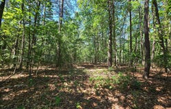 186 BIG OAK Drive, POINTS, WV 25437