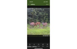 214 Authur Byrd Road, Pocahontas, TN 38061