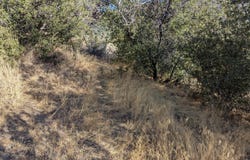 23851 Zermatt Drive, Tehachapi, CA 93561