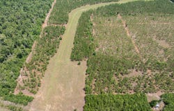 Live Oak, FL 32060