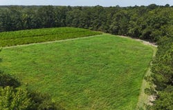 Hopewell Road, Hampton, SC 29924