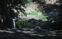 699 County Road 260, Gustine, TX 76455