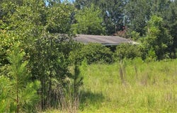 159 Grimsley Road, Colquitt, GA 39837