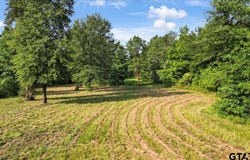32 Acres S Live Oak Rd, Gilmer, TX 75644