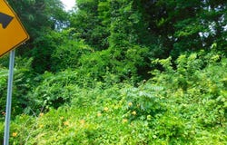 1879 DELSEA Drive, WOODBURY, NJ 08096