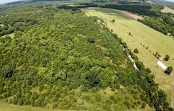 County Road 8410, Rolla, MO 65401
