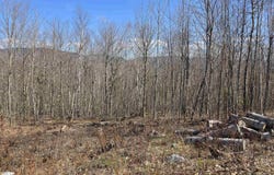Cates Hill Road, Berlin, NH 03570