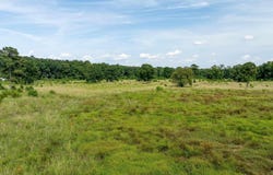 HIGHWAY 15, Downsville, LA 71234