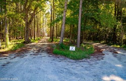 140 Wildwood Drive lot: 5, Oriental, NC 28571