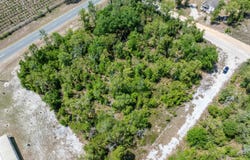 TBD CR 49, OBrien, FL 32071