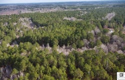 130 DOYSTON ROAD, Simsboro, LA 71275