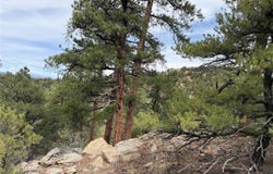 672 Coyote Trail, Cotopaxi, CO 81223
