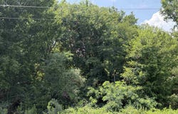 HWY 285 N, Damascus, AR 72039