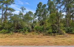 4404 E 21st Street, Alva, FL 33920