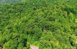 Triple Creek Drive, Clyde, NC 28721
