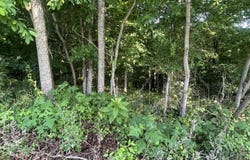 Bushwack Road, Golconda, IL 62938