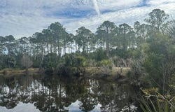 Sweet Gum Ln, Cedar Key, FL 32625
