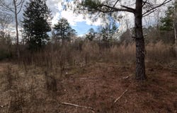 Saint John Road, Braxton, MS 39044