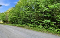 Porter Road, Bath, NH 03740
