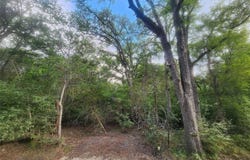 Post Oak Rim, Bastrop, TX 78602