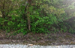 Glen Echo Drive, De Soto, MO 63020