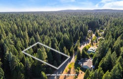 Nehemiah Drive, Shingletown, CA 96088