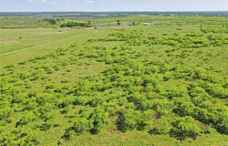 FM 175 Tract #2, Jacksboro, TX 76365