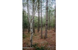 Nighthawk Loop lot: 3-Tbd, Aberdeen, NC 28315