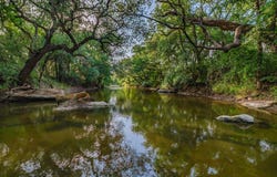28 CR 458, Brady, TX 76825