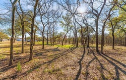 6085 Autumn Breeze Circle, Fort Worth, TX 76140