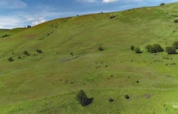 Sunnyside Bench Road, Lenore, ID 83541