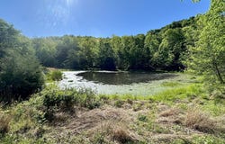 1170 E Doe Creek Road, Liberty, KY 42539