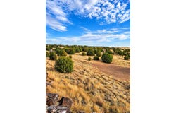 19 N5232, Concho, AZ 85924
