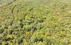 Anne Drive, Edwards, MO 65326