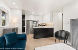 805 E Cooper Avenue, Aspen, CO 81611